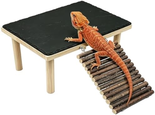 Bearded Dragon Basking Platform,Reptile Basking Rock with Climbing Ramp,M