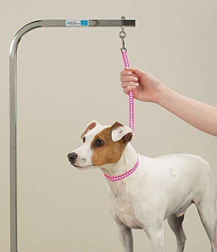Top Performance Nylon Basic Screen Printed Pet Grooming Loop, 18-Inch, 4-Pack