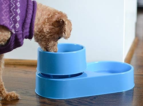 The 3-in-1 Ant Free Pet Dish (Small YG)