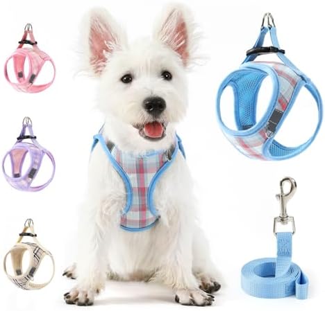 voopet Extra Small Dog Harness and Leash Lightweight Cat Comfort Padded Soft Mesh Vest Step in dog harness No Pull No Choke Reflective Small Plaid Girl & Boy Puppy Kitty Walking Harness, Blue XS