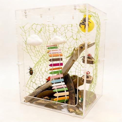 Jumping Spider Habitat Decor Kit with Platforms, Hideouts & Accessories