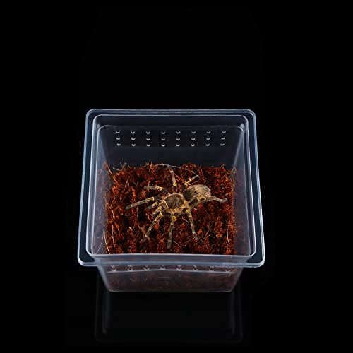 DQITJ 20 Pcs Spider Terrariums Breeding Box Hatching Container Acrylic Feeding Box for Small Reptile Scorpion Centipede Insect (Small Size)