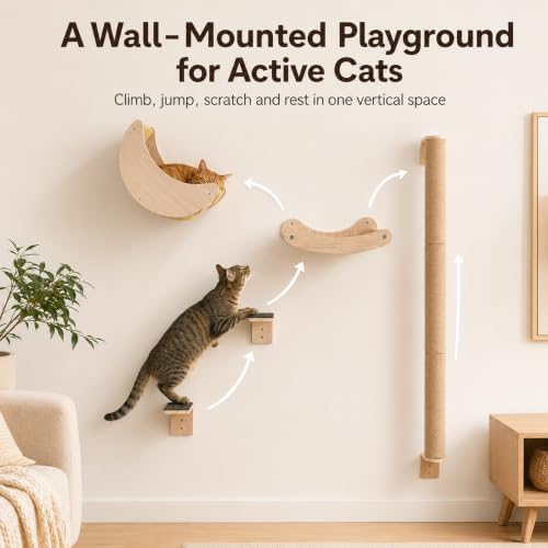 Cat Wall Shelves Set, Cat Climbing System with Hammock & Scratching Post