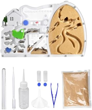Dinosaur Egg Shaped Ant Habitat, Clear Acrylic Dual-Chamber Formicarium, Escape-Proof Design, Large Foraging Area, for Ant Enthusiasts & Hobbyists