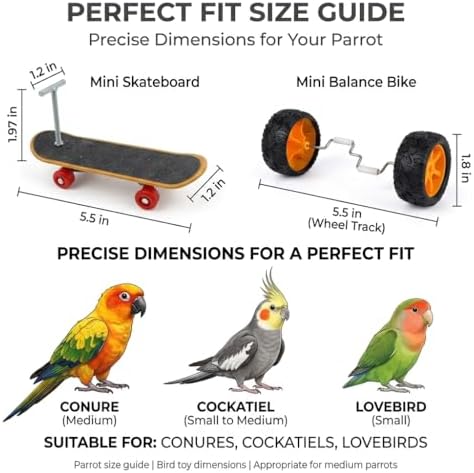 Bird Training Toys Set, 2 Piece Skateboard and Balance Bike for Parrots, Balance Training Accessories (Orange Wheel Core)