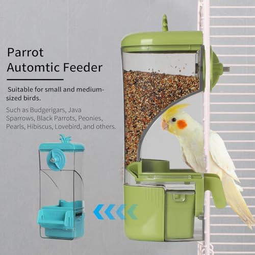 Automatic Bird Feeder for cage, Easy to Clean, Hanging Large Capacity, Clear Bird feeders for Window Viewing (Green)