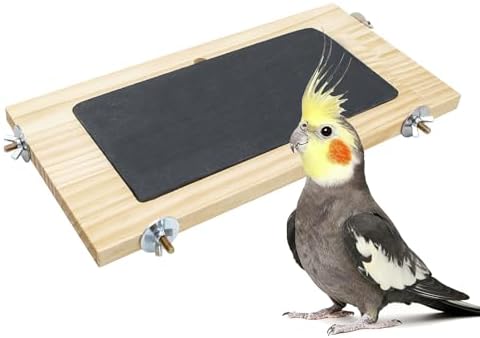 Bird Perch, Wooden Platform with Slate Rock, Bird Playground, Parakeet Shelf Stand Platform, Cage Accessories for Budgies, Cockatiels, Lovebirds, Green Cheeks, Small to Medium Birds