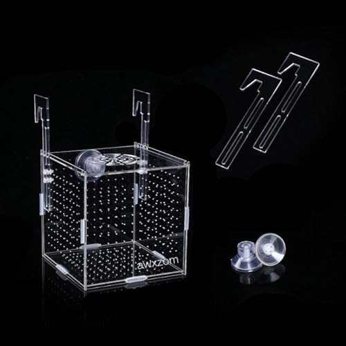AWXZOM Acrylic Fish breeding Box, Acrylic Fish Isolation Box, Fish Separator for Aquarium, Hatchery Incubator with Suction Cups for Small Baby Fishes Shrimp Clownfish Guppy (5.9 * 5.9 * 5.9inch)