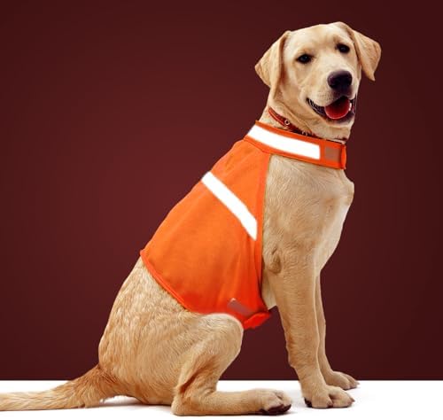 Dog Jacket High Visibility Safety Reflective Dog Vest for Small Medium Large Dogs (Large, Orange)