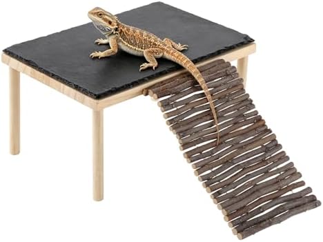 Basking Rock Platform with Climbing Ramp Slate Painted Glossy Black Platform Reptile Resting Area Bearded Dragon Hiding Burrow Reptile Tank Accessory for Tortoises Lizards Toads Geckos