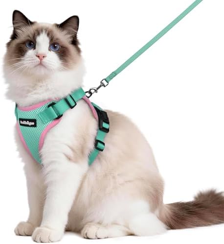 rabbitgoo Cat Harness and Leash,Green&Pink, M