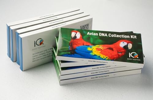 Bird DNA Gender Test Kit