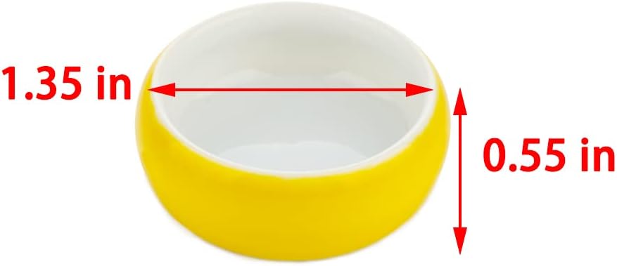 6 Pcs Tarantula Colorful Food Bowl Hermit Crab Water Bowl Spider Small Reptile Micro Ceramic Dish