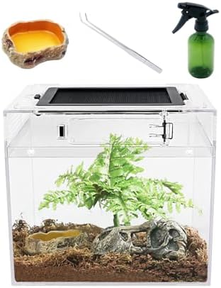 Reptile Growth Mini Reptile PC Terrarium,8x8x7 inch Amphibian Tank Starter Kit Habitat Cage，for Insect，Fish，Tarantula，Turtles，Jumping Spiders and Small Reptiles