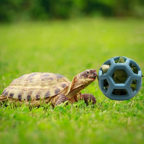 4 Pack Tortoise Treat Ball Set, Turtle Feeder Ball for Foraging Activity