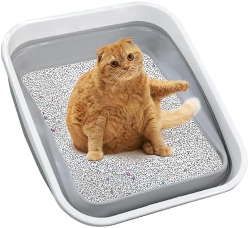 Low Entry Senior Cat Litter Box for Arthritic, Frail and Disabled Cats