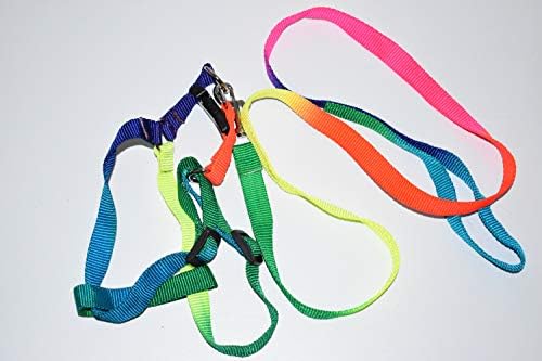 Mini Pig Adjustable Harness Leash for Hog Piggy