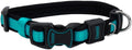 Coastal Pet - Coastal - Inspire Enhanced Core - Adjustable Collar by Coastal+Pet