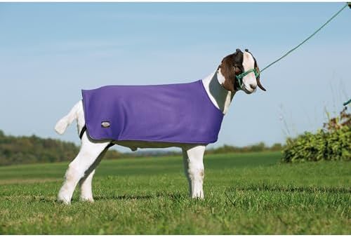 Weaver Leather Sheep Underblanket Large/Extra Large Purple