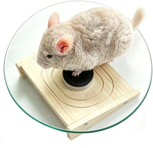 11" Silent Chinchilla Wheel Glass Chinchillas Exercise Wheel(11inch)