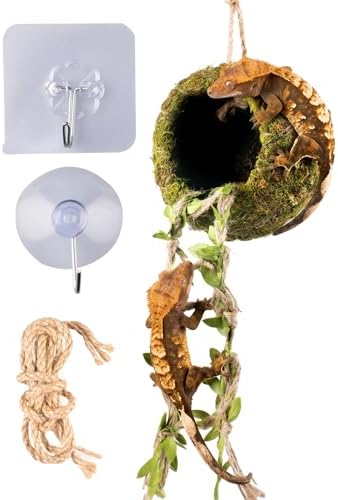 Reptile Hide with Hanging Climbing Ladder – Handmade Crested Gecko Tank Accessories, Hide for Crested Gecko, Hermit Crab, and Small Reptiles