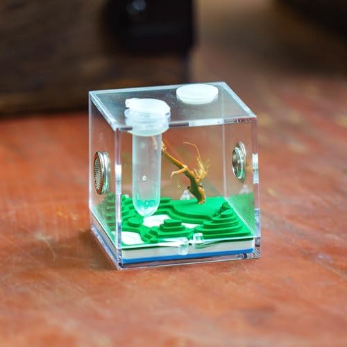 Jumping Spider Micro Enclosure Accessories Set, 2” Acrylic Mini Habitat with Mountain Lake Shaped Integrated Feeding-Watering Container, Modern Landscape Terrarium for Small Insects