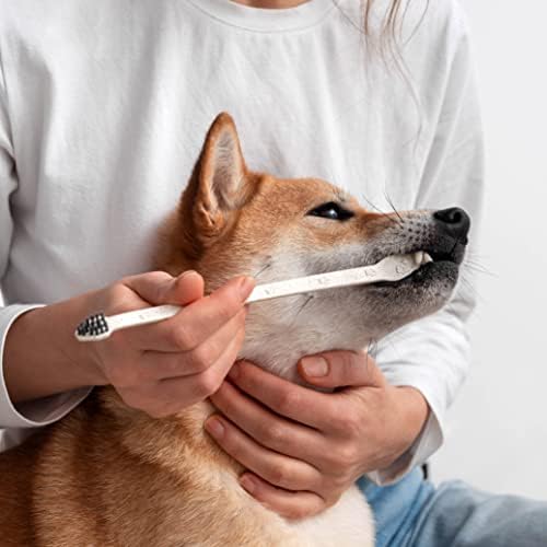 BLEEKER & RÖWE Eco Friendly Pet Toothbrushes, Individually Wrapped, Recyclable Packaging (10)