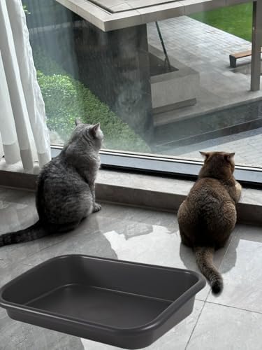 Extra Large Litter Box with High Sides 23.23" Lx16.54 Wx4.33 H, ABS Low Entry Senior Litter Pen Jumbo Pet Safe Litter Boxes Tray for Kittens to Senior Cat, Elderly and Fat Cat (Black)