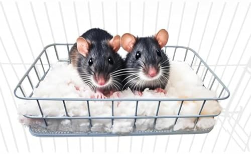JSLZF Rat Cage Platform with Mat, Metal Chew-Proof Squirrel Ledge
