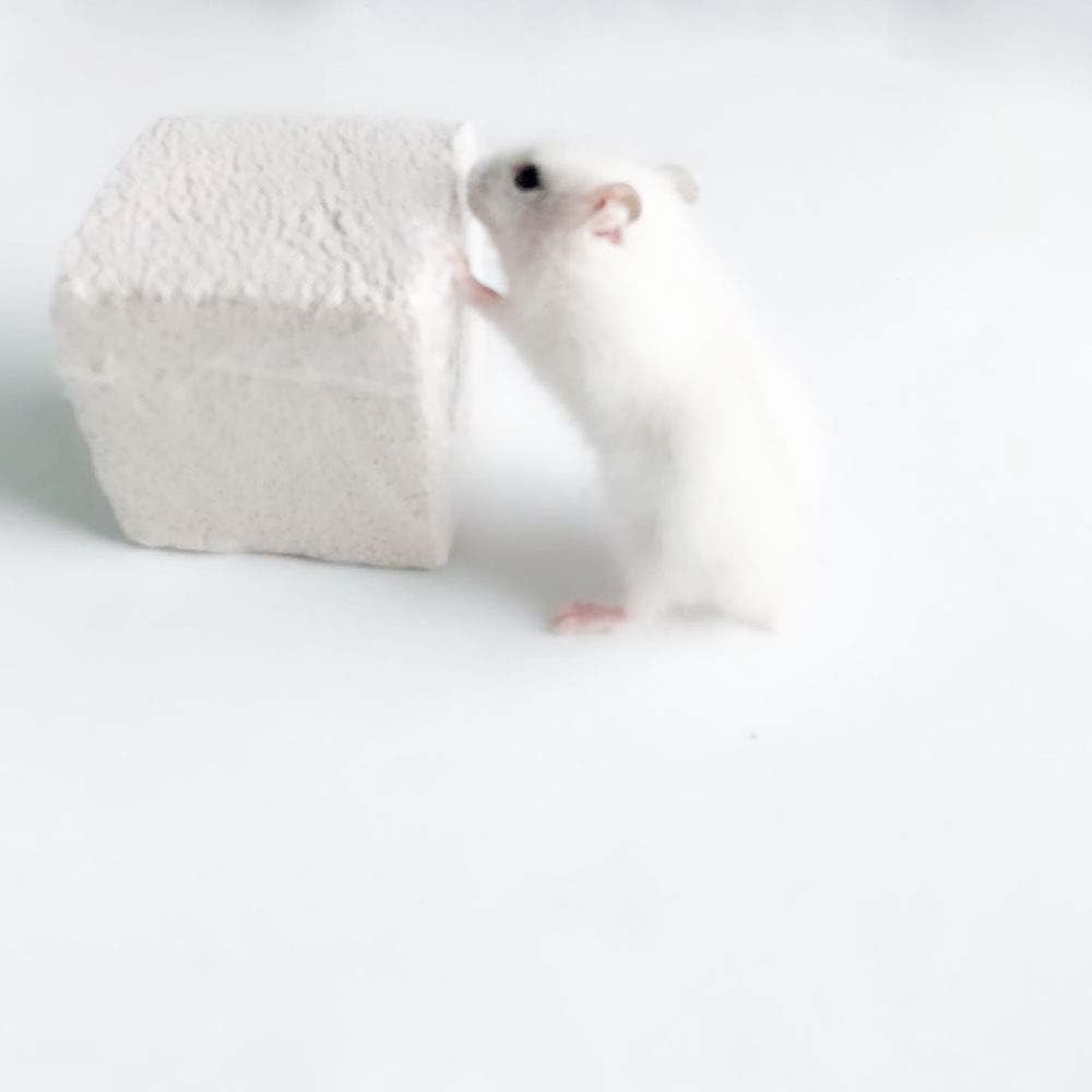 Hamster Chew Toy Lava Teeth Grinding Square Stone for Hamsters Chinchillas and Rabbits Mineral Stone Calcium Chew Toy for Small Animal(Pack of 10)