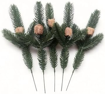 Praying Mantis Ootheca Egg Case on a Pine Branch(Five Egg Cases) – Imitate the Wild Environment, Release to the Garden, Nature, Each Ootheca can Produce up to 400 Baby mantises