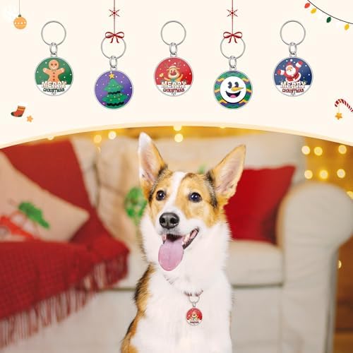 Holiday QR Code Dog ID Tag for Dogs, Christmas Pet Collar Charm, Scan QR for Instant Contact Info & Location Alerts, No Battery, No Monthly Fee
