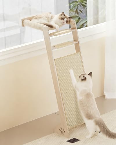Cat Window Perch with Scratching Pad, 51'' Climbing Tree Include Hammock Cat Ladder with 2 Suction Cups for Sleeping, Playing and Watching Bird