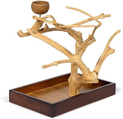 Prevue Pet Products Coffeawood Java Tree Minis Small Table Top Playstand 22633 15.8" L x 10.6" W x 18.0" H