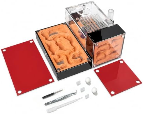 Ant Formicarium for Live Ants & Queen, Dual-Level Ant Nest