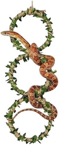 3-Tier Snake Climbing Rings for Ball Python - Natural Jungle Vine Enclosure Accessories, Reptile Habitat Decor, Hanging Enrichment Toys for Corn Snakes, Geckos, and Small Lizards
