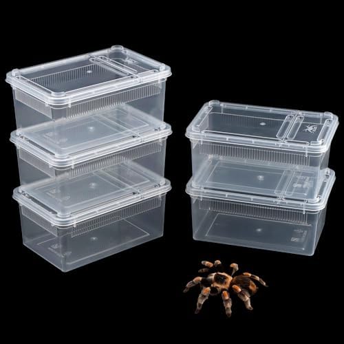 5 Pack Small Reptile Terrarium Breeding Box Transparent Hatching Container Plastic Feeding Box for Gecko Frog Spider Scorpion Centipede Insect