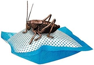 Zilla Reptile Food Cricket Water Pillows, 18-Pack