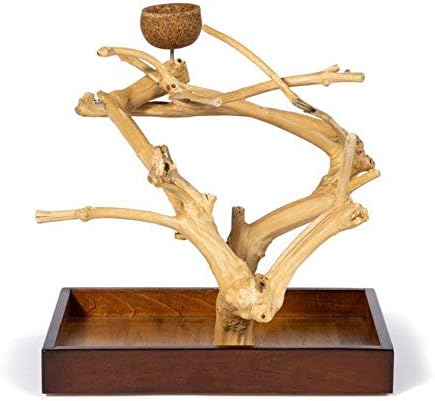 Prevue Pet Products Coffeawood Java Tree Minis Small Table Top Playstand 22633 15.8" L x 10.6" W x 18.0" H