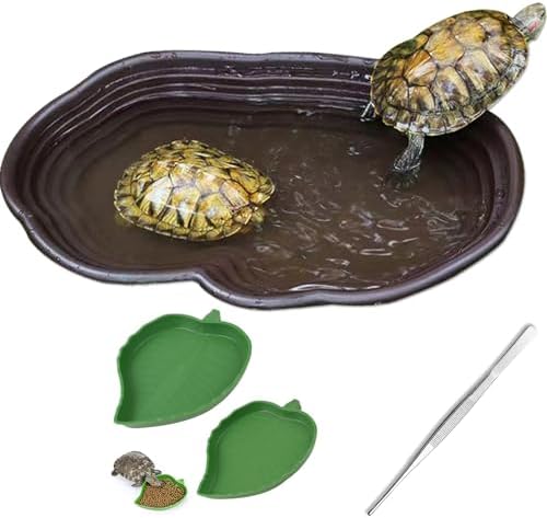 Reptile Bathing Pool for Turtle Salamander Bearded Dragon Lizard