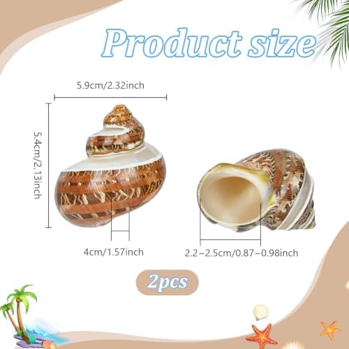 PH PandaHall 2pcs Large Hermit Crab Shells, 2.1x2.3x1.6 Inch Natural Sea Conch Ornament Opening Mouth 1~1.1 inch Turbo Seashells for Pet Crab Habitat Aquarium Crafting Resin Candle Projects, Brown