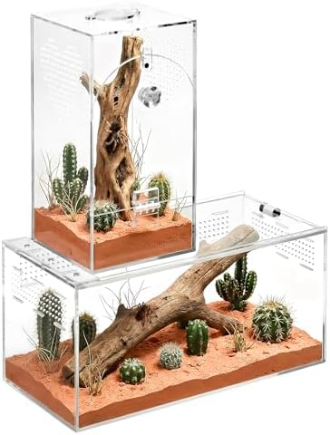 Acrylic Spider Enclosure 2 Pack, Terrarium for Jumping Spider（L）
