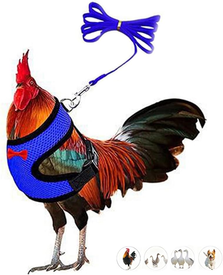 Chicken Leash and Harness Set Adjustment mesh Duck Harness Vest，Blue M