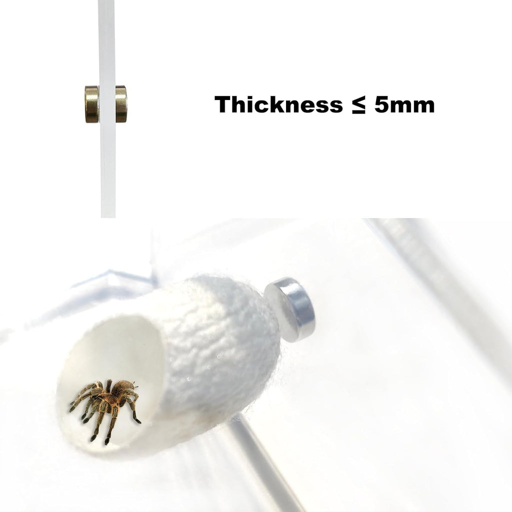 20 Pack Silk Cocoons with Magnets for Jumping Spiders Spoods Hides Silk Cocoon Spider Hide Jumping Spider Enclosure Habitat Accessories for Small Insects Critters