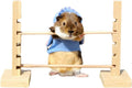 Guinea Pig Jump Bar Natural Wood Obstacle Game Activity Toys Set Adjustable Height Training Hurdles Exercise Small Animal Toys for Bunny Dwarf Rabbit Chinchilla (Wood)