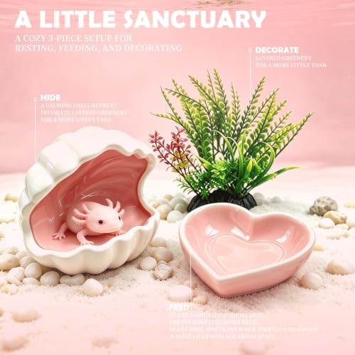 Axolotl Hide Ceramic Shell Shape Fish Tank Cave Set