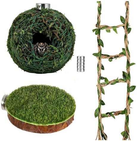 Jumping Spider Accessories, Magnetic Moss Hideout with Resting Platform
