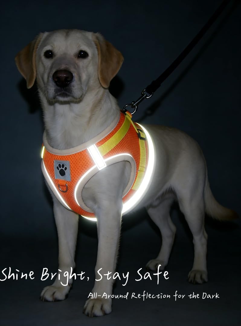 Pet Harness Vest with Leash for Small Medium Dogs Cats-No Pull Step-in Pet Vest Breathable Soft Lightweight Harness and Leash Set for Puppy Kitty Bunny-Orange-XS