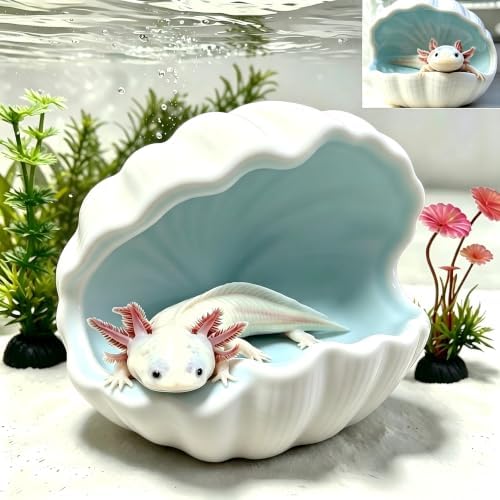 Axolotl Hide Shell Shape Ceramic Axolotl Hiding Spots Caves