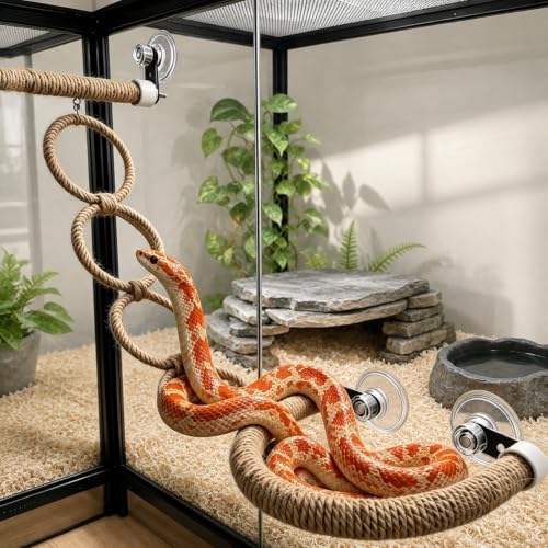 Snake Climbing Perch with 4 Rings and 3 Suction Cup Terrarium Mounts